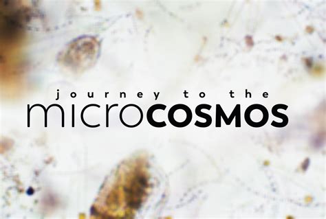 Microcosmos: Journeys into the World of the Very Small – An Unexpected Symphony of Scientific Inquiry